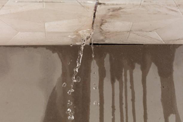 Professional Water Damage Repair technician working in Colfax, WI